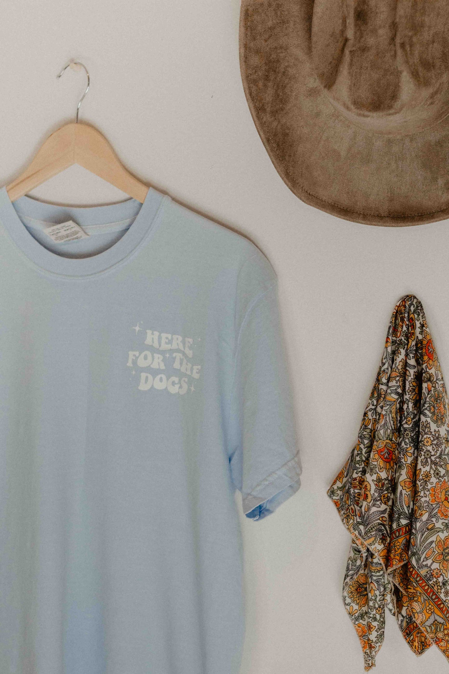 Here for the dogs shirt