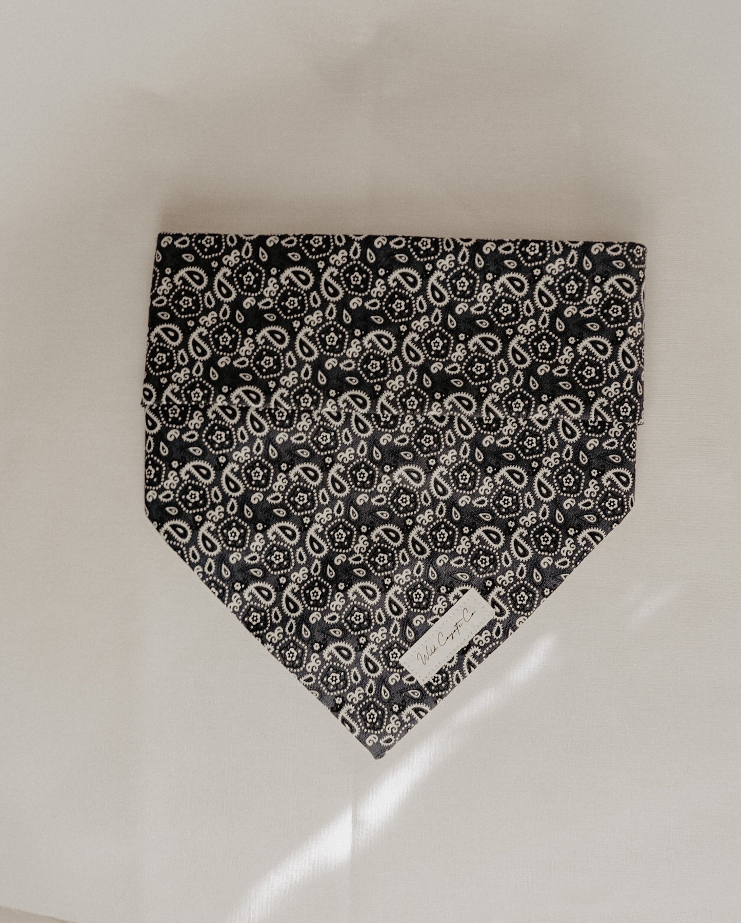 Paisley bandana