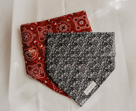 Paisley bandana