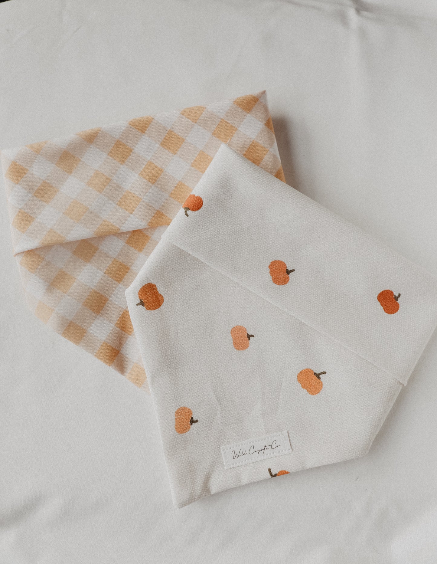 Tiny pumpkins bandana