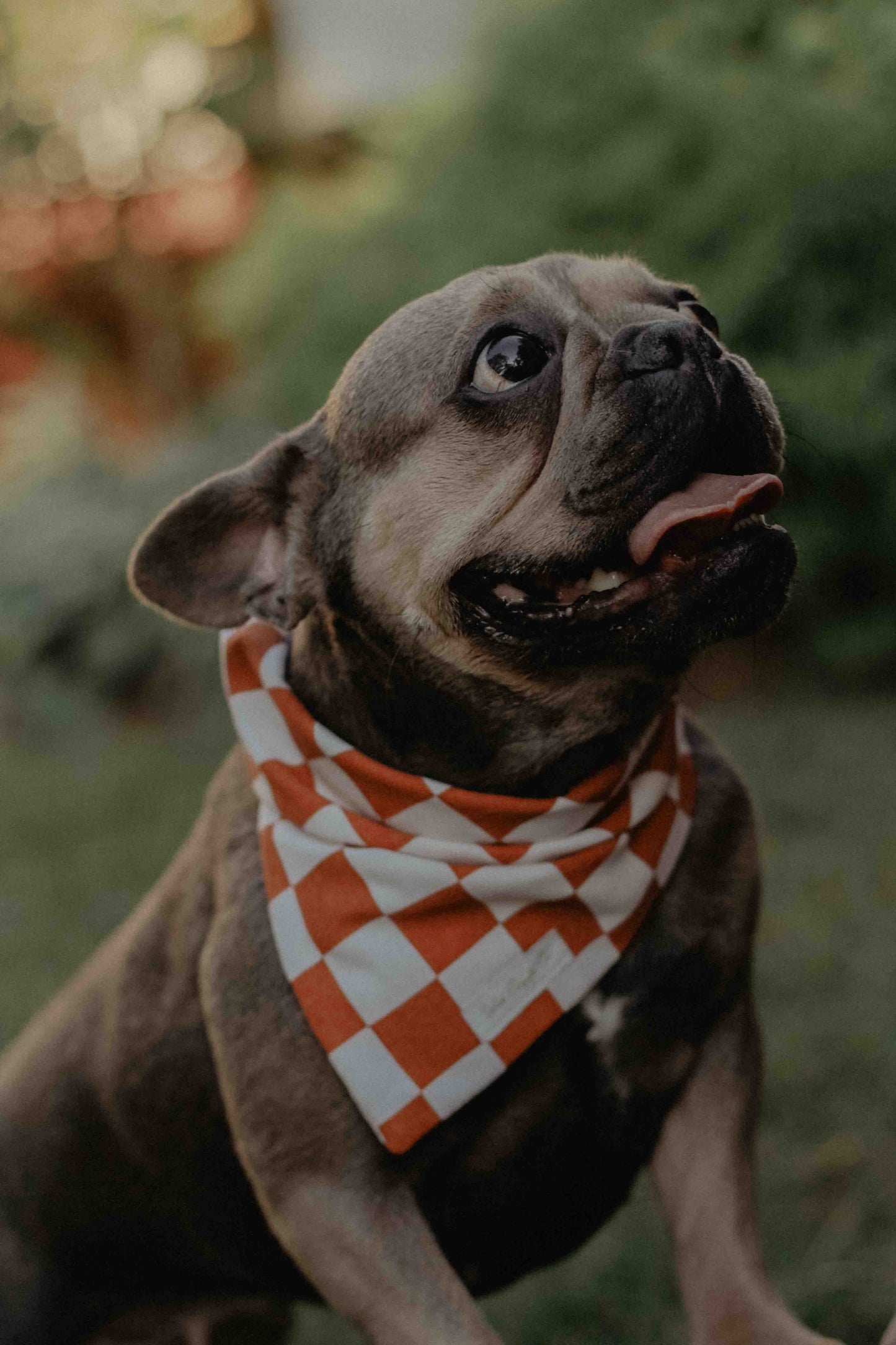 Rust checkered bandana