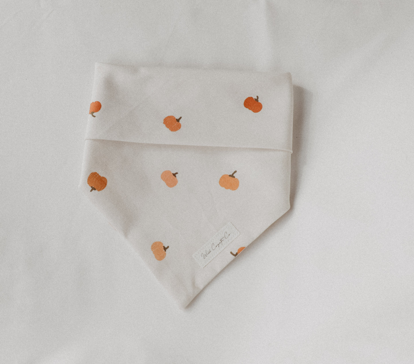 Tiny pumpkins bandana