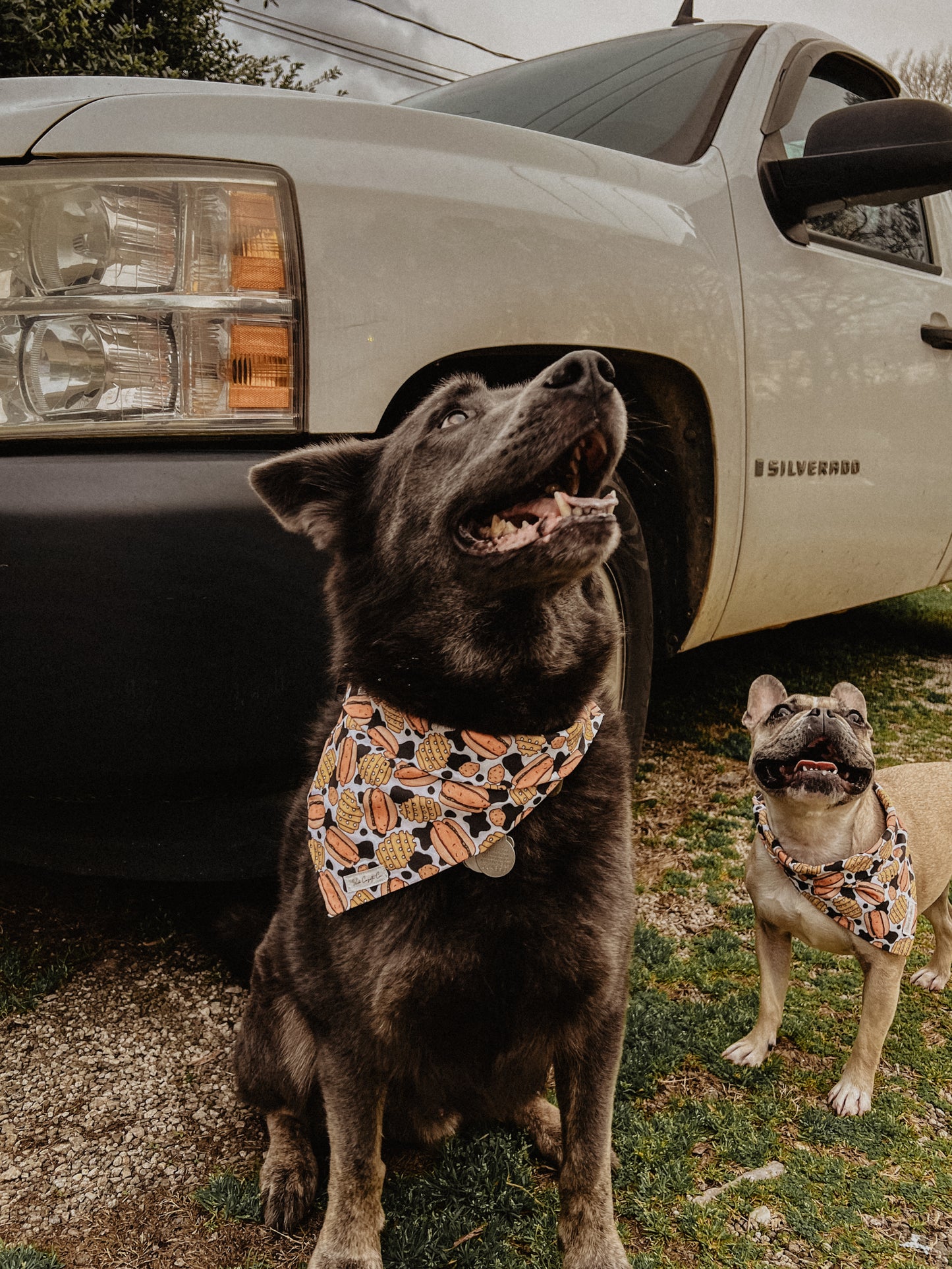 Chicken sandwich bandana