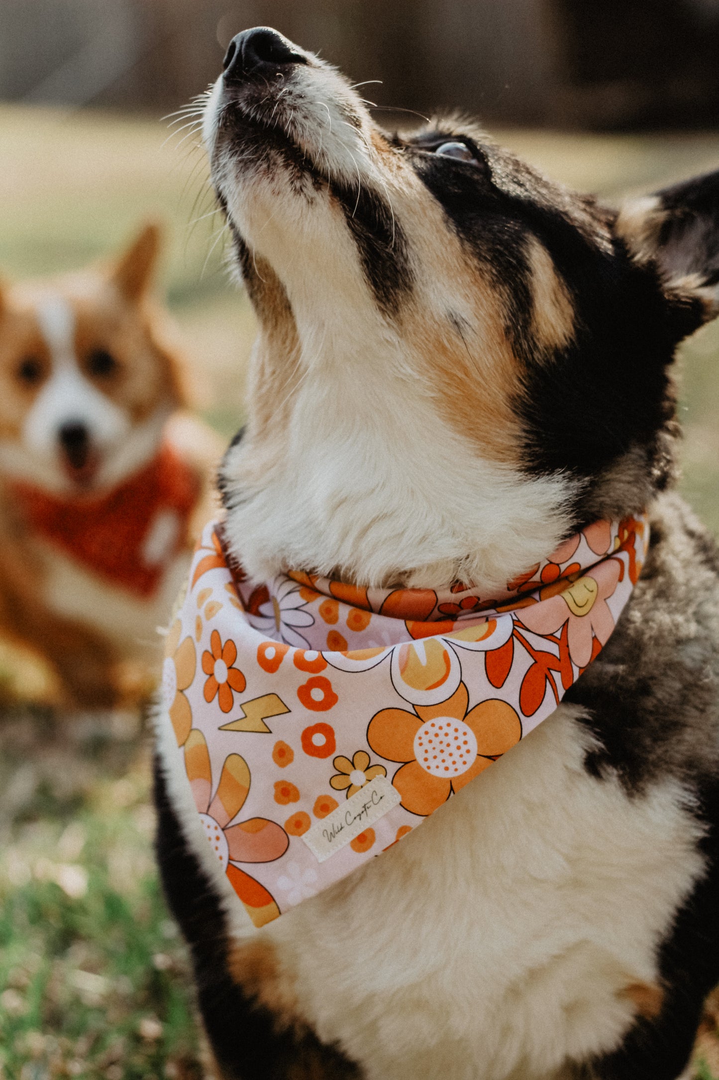 Happy bandana