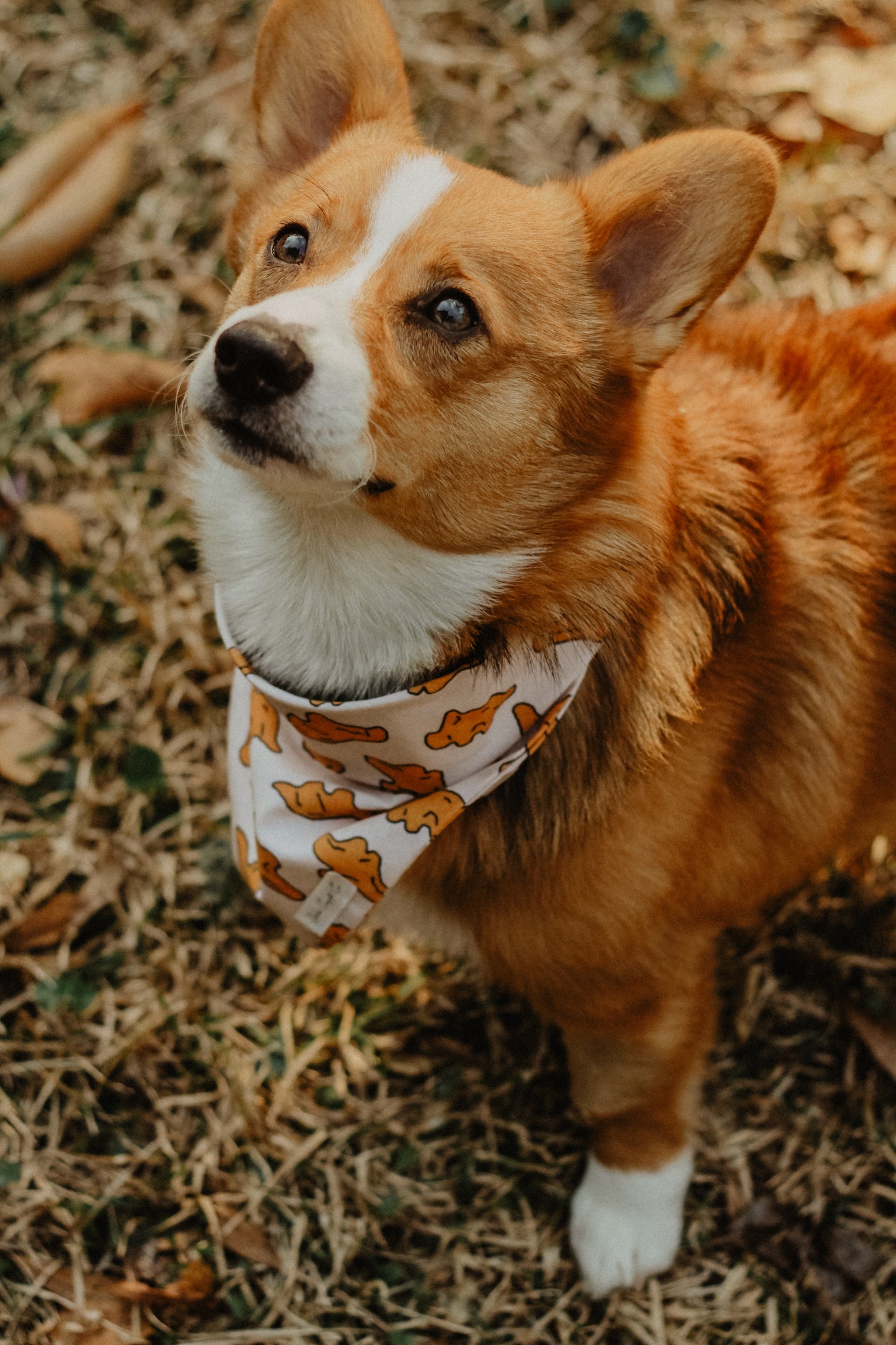 Dino nugget bandana