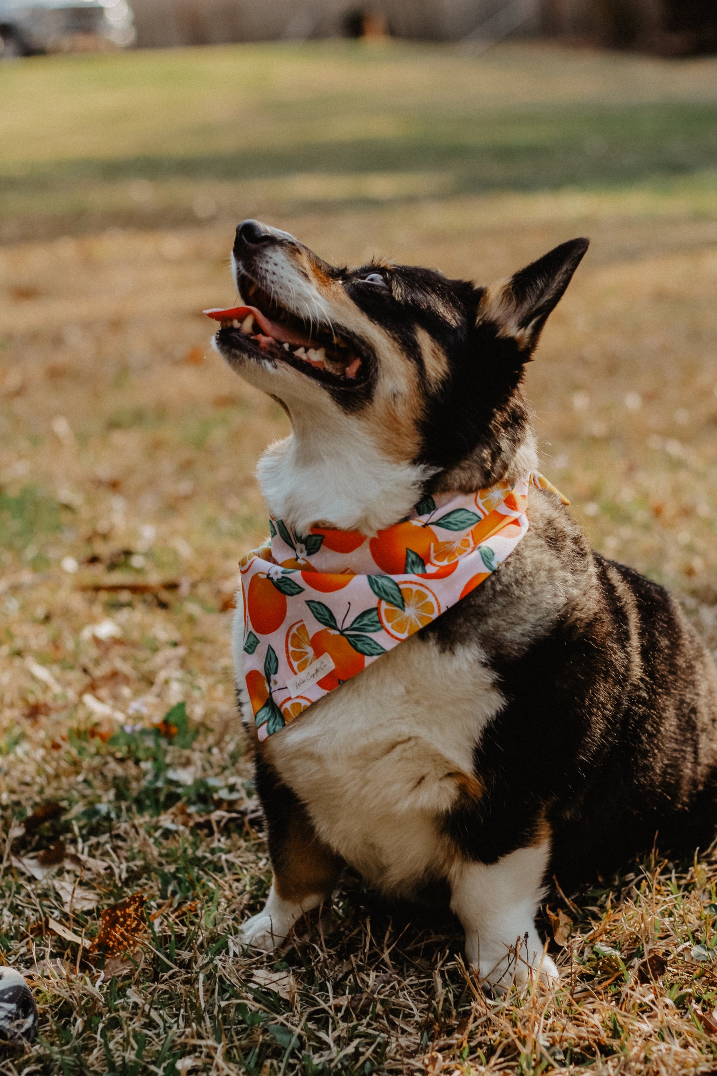 Sweet Peach bandana