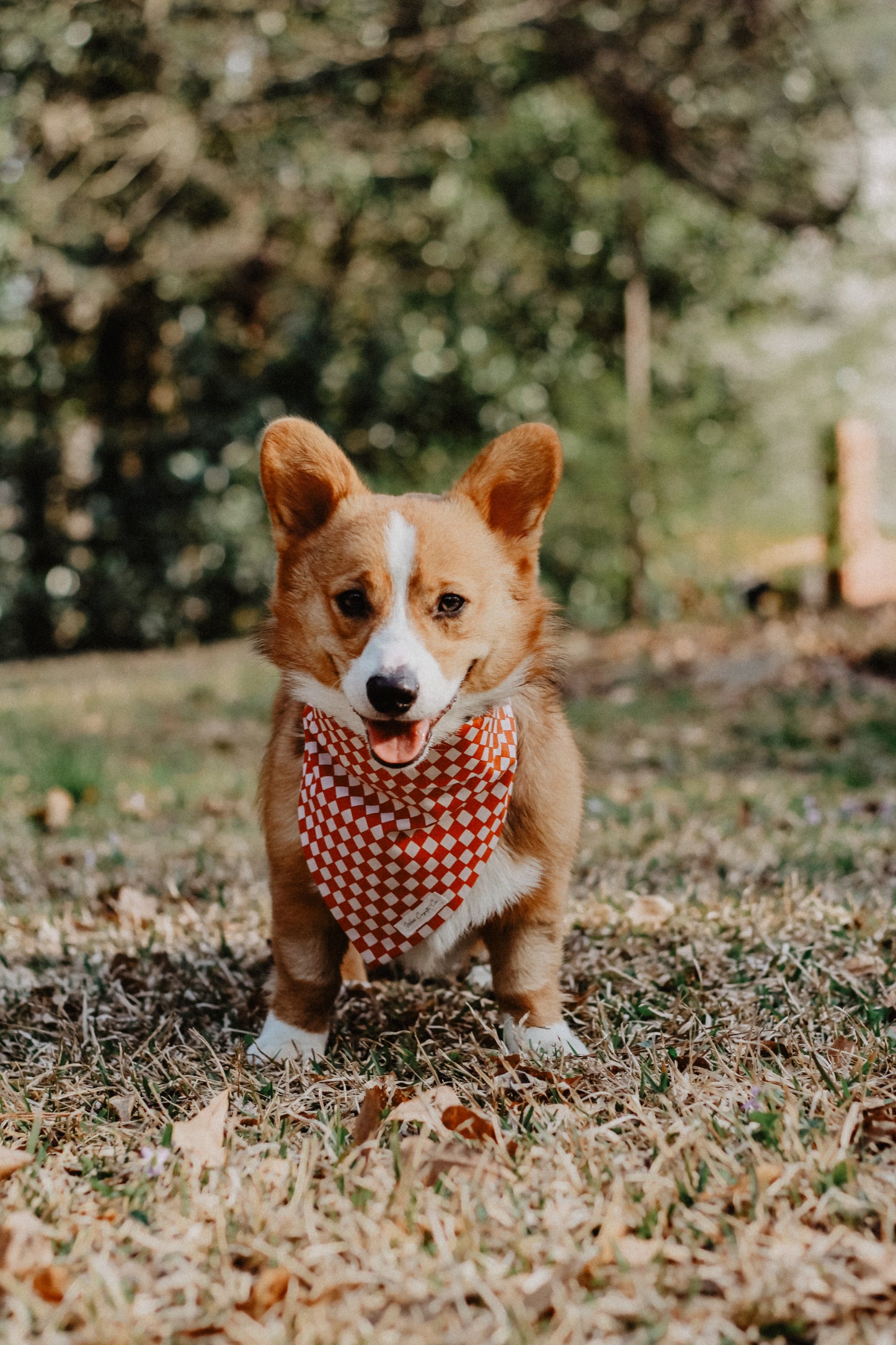 Rust checkered bandana