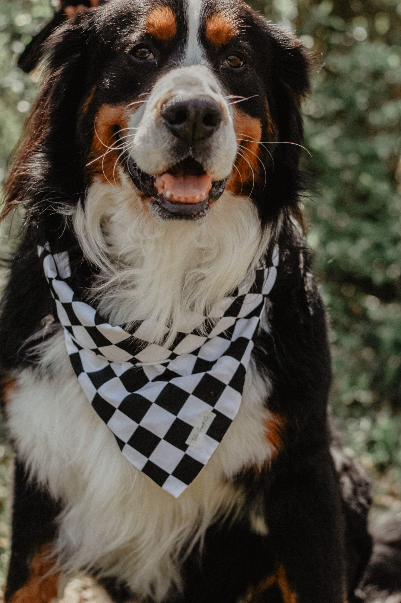 Checkered bandana