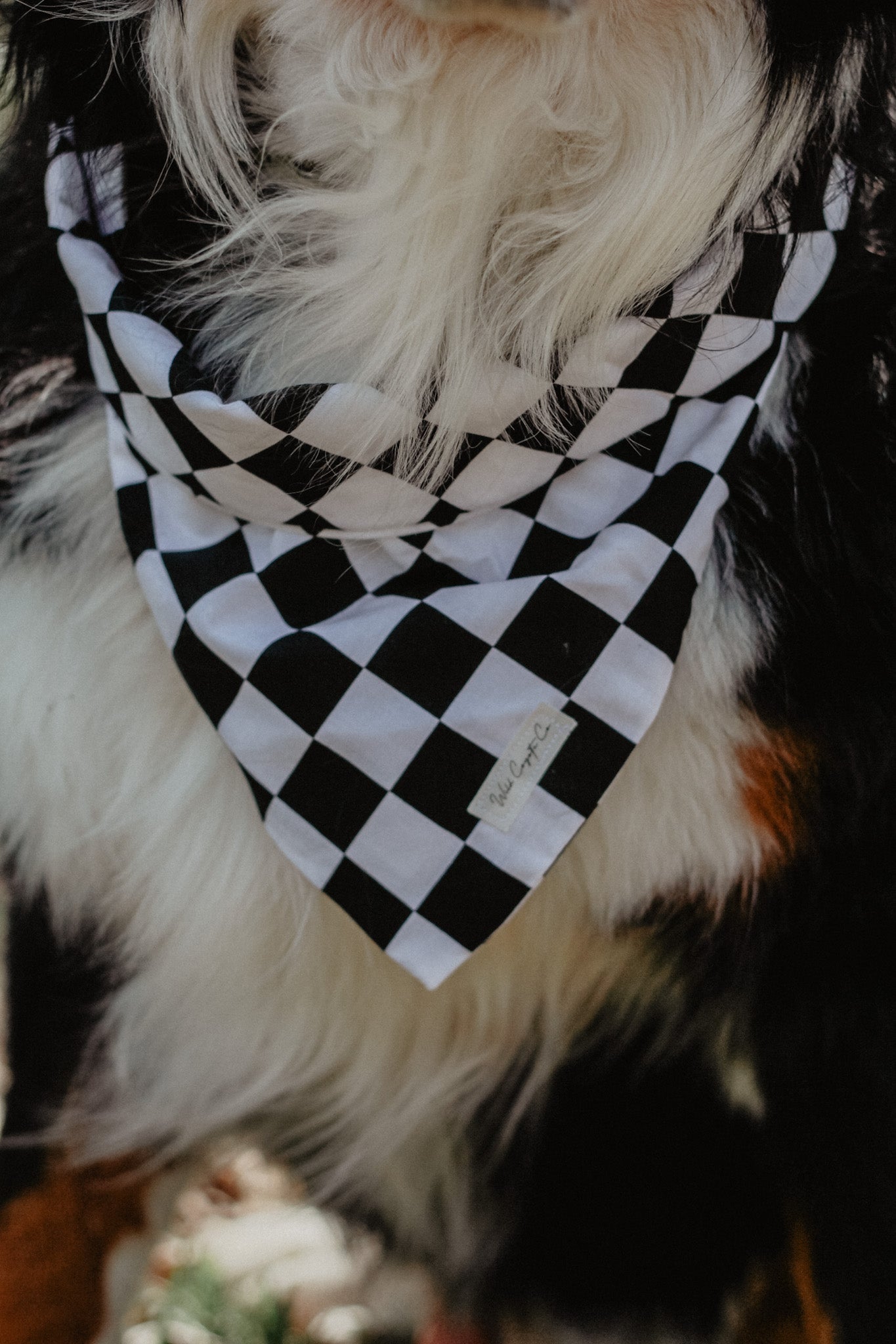 Checkered bandana